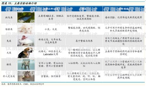 白名單電銷卡——免實的銷售利器白名單電銷卡怎么辦理