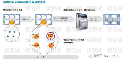 滁州外呼系統(tǒng)維護，保障高效溝通的關(guān)鍵環(huán)節(jié)外呼系統(tǒng)收費標準